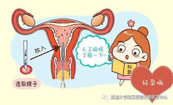 北京治疗不孕