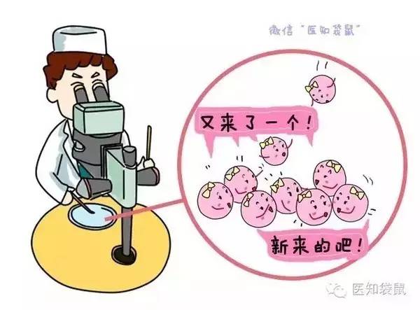 减肥不孕