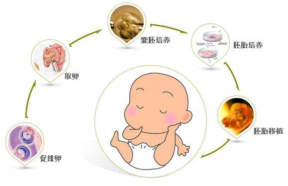 北京泰国试管婴儿中介
