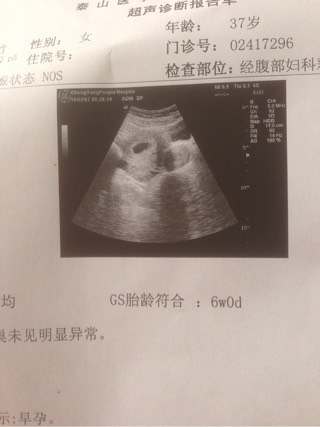 北三试管
