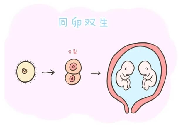 助孕中介